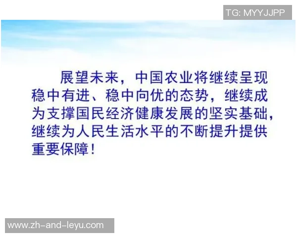 广西足球俱乐部发展现状与未来展望探讨